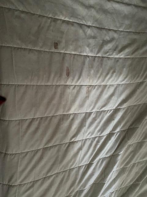 More from the stained. mattress cover 