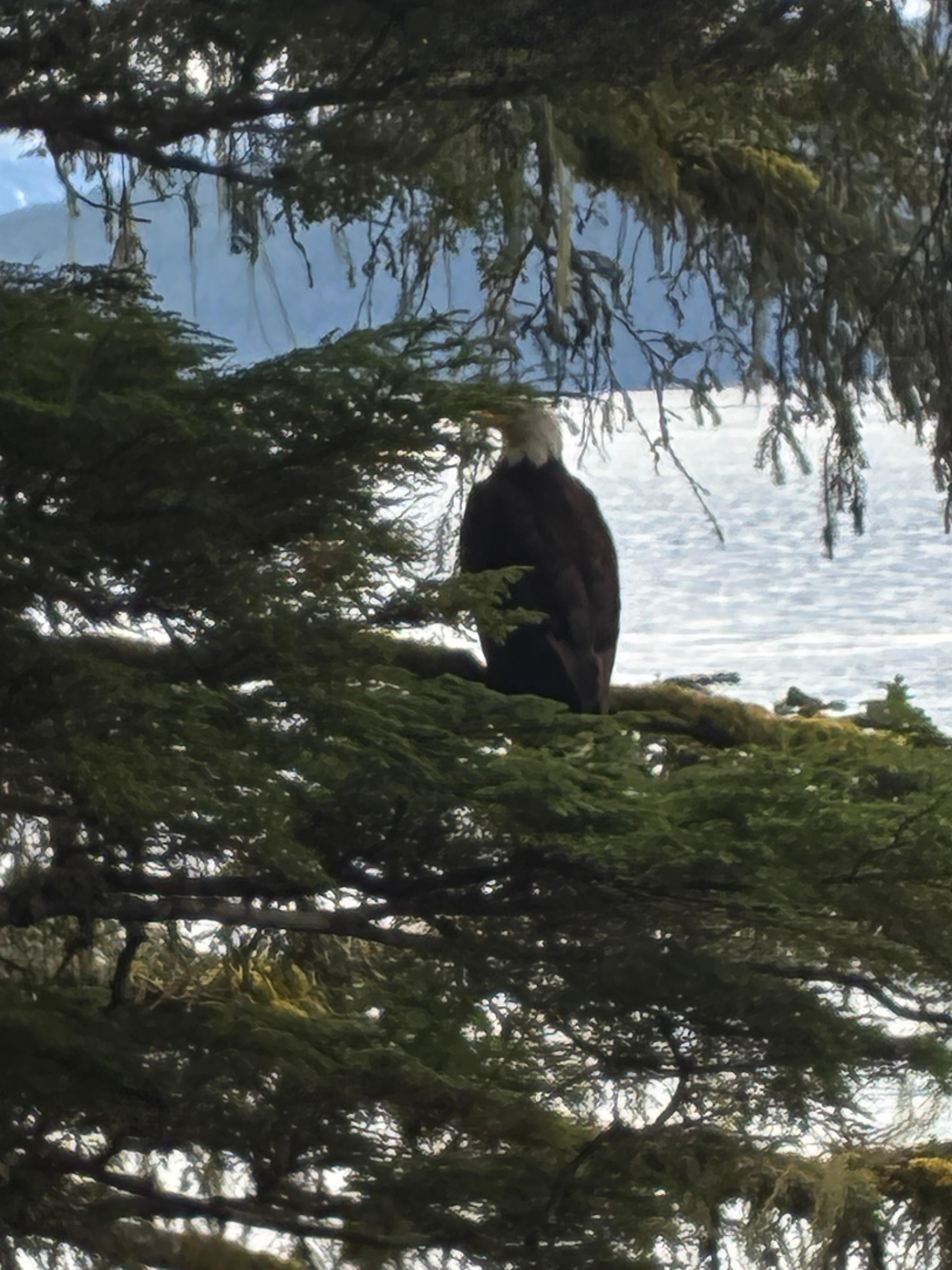 Eagle cove is a 5 minute drive away