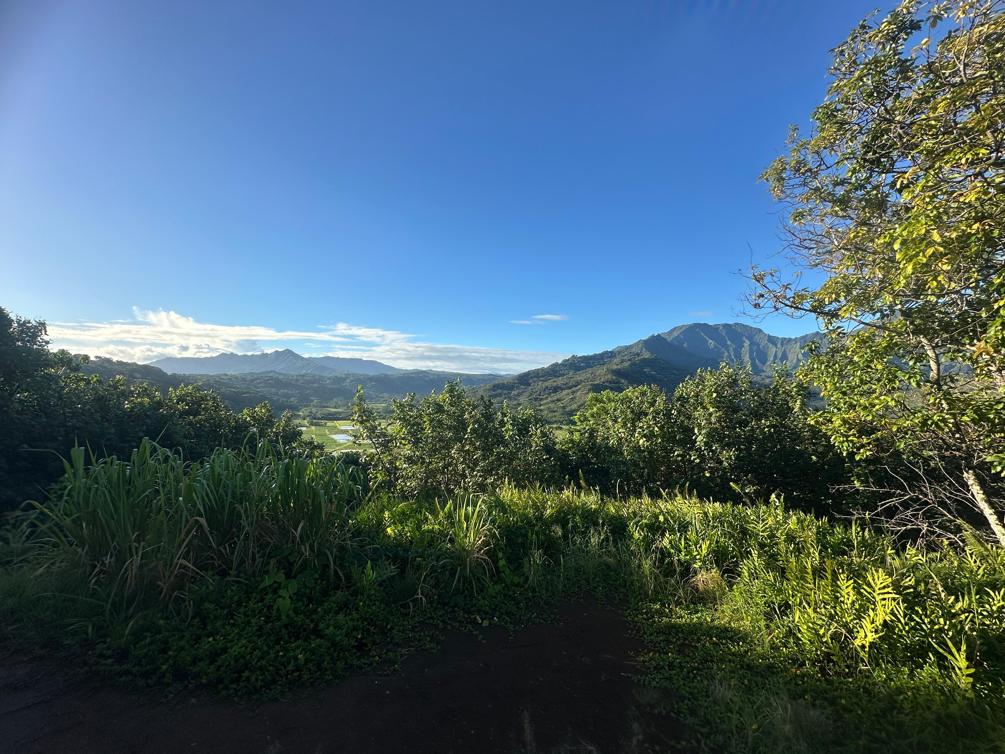 Hanalei Valley