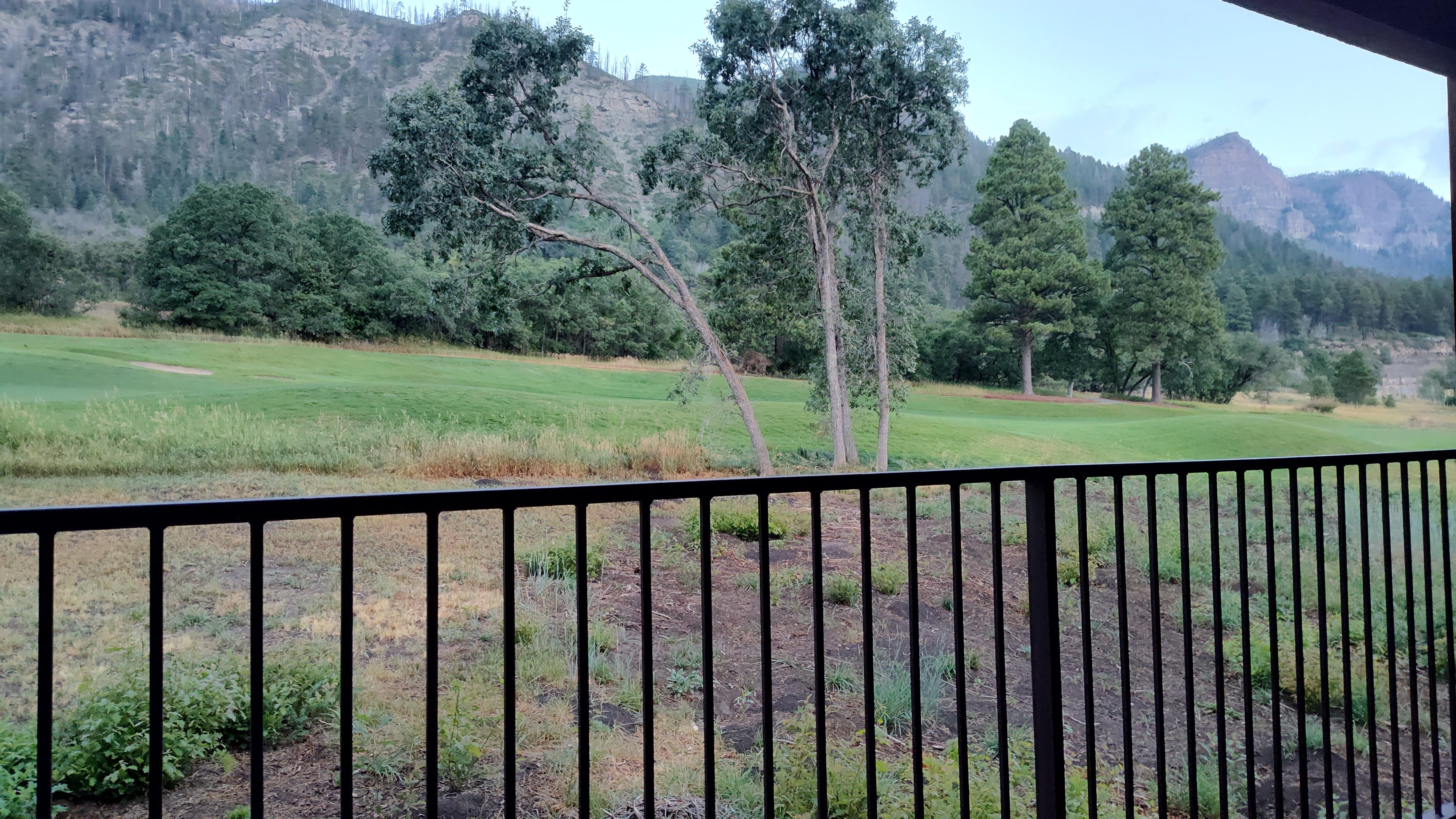 View from the back patio.