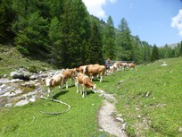 Bij Karlsbad op Nockalmstrasse