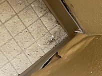 Mold, wall peeling