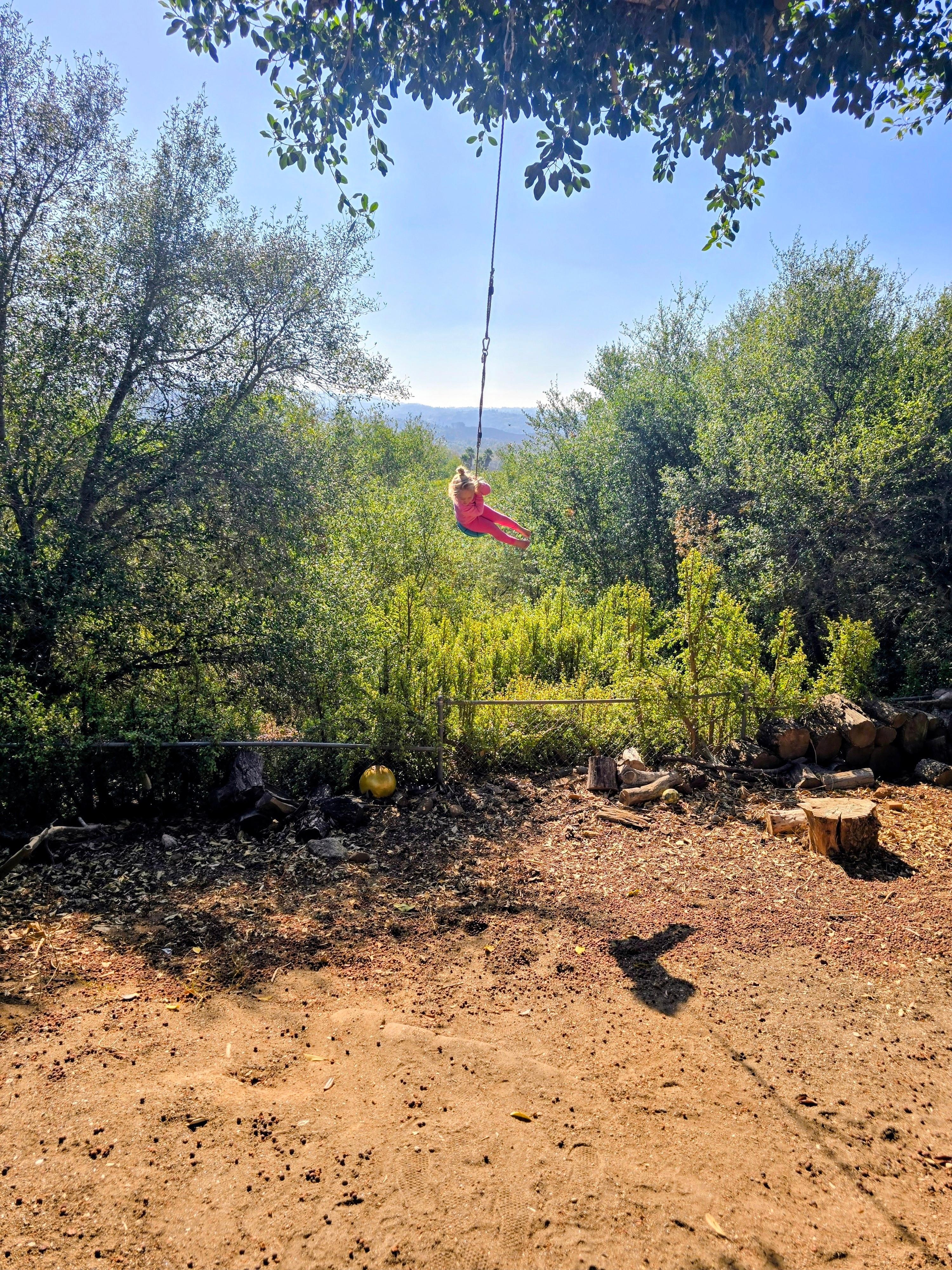 My granddaughters LOVED the swings, the chickens, and "Mr. Phil"! 