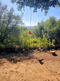 My granddaughters LOVED the swings, the chickens, and "Mr. Phil"!