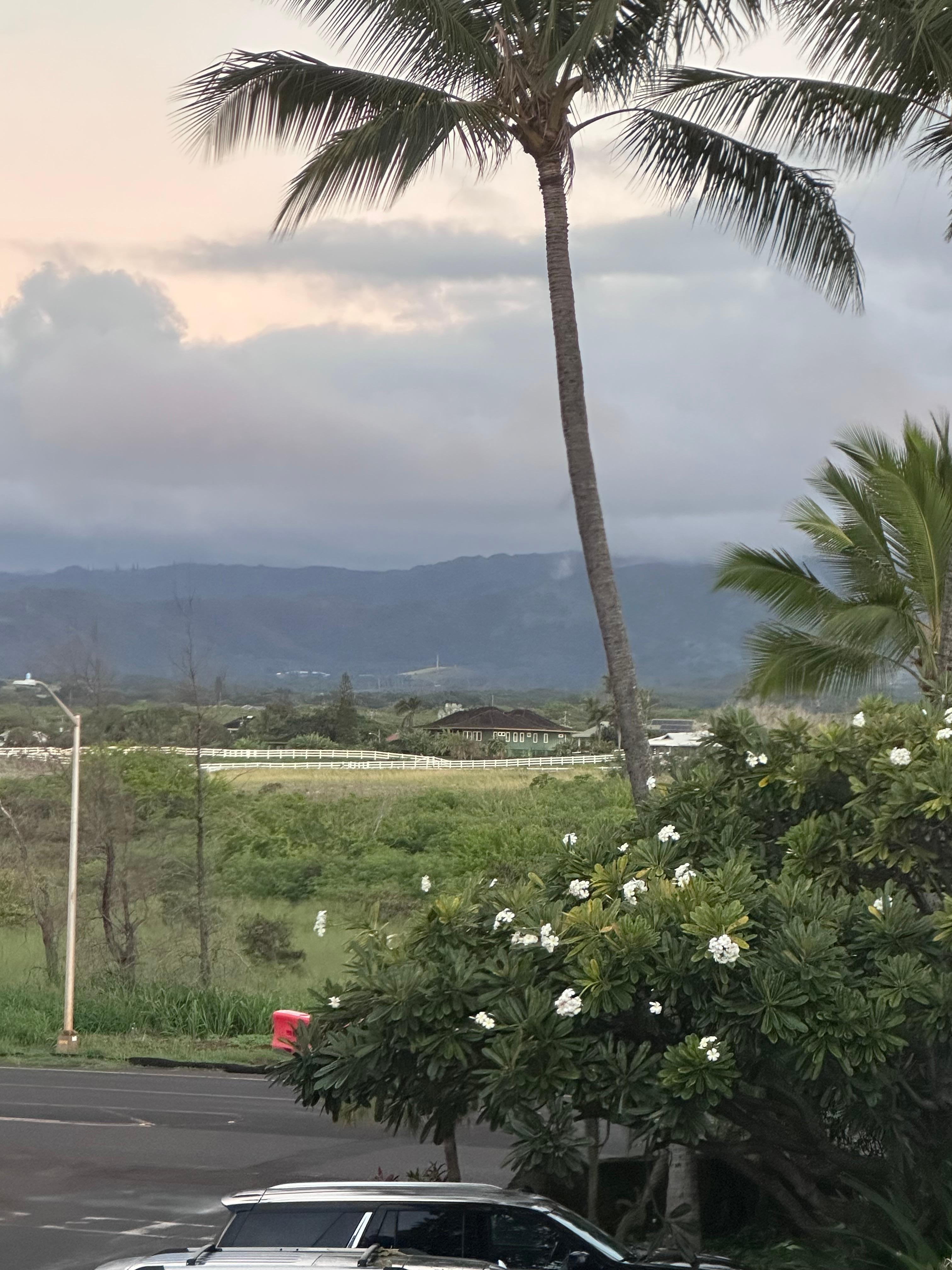 The view from our balcony 