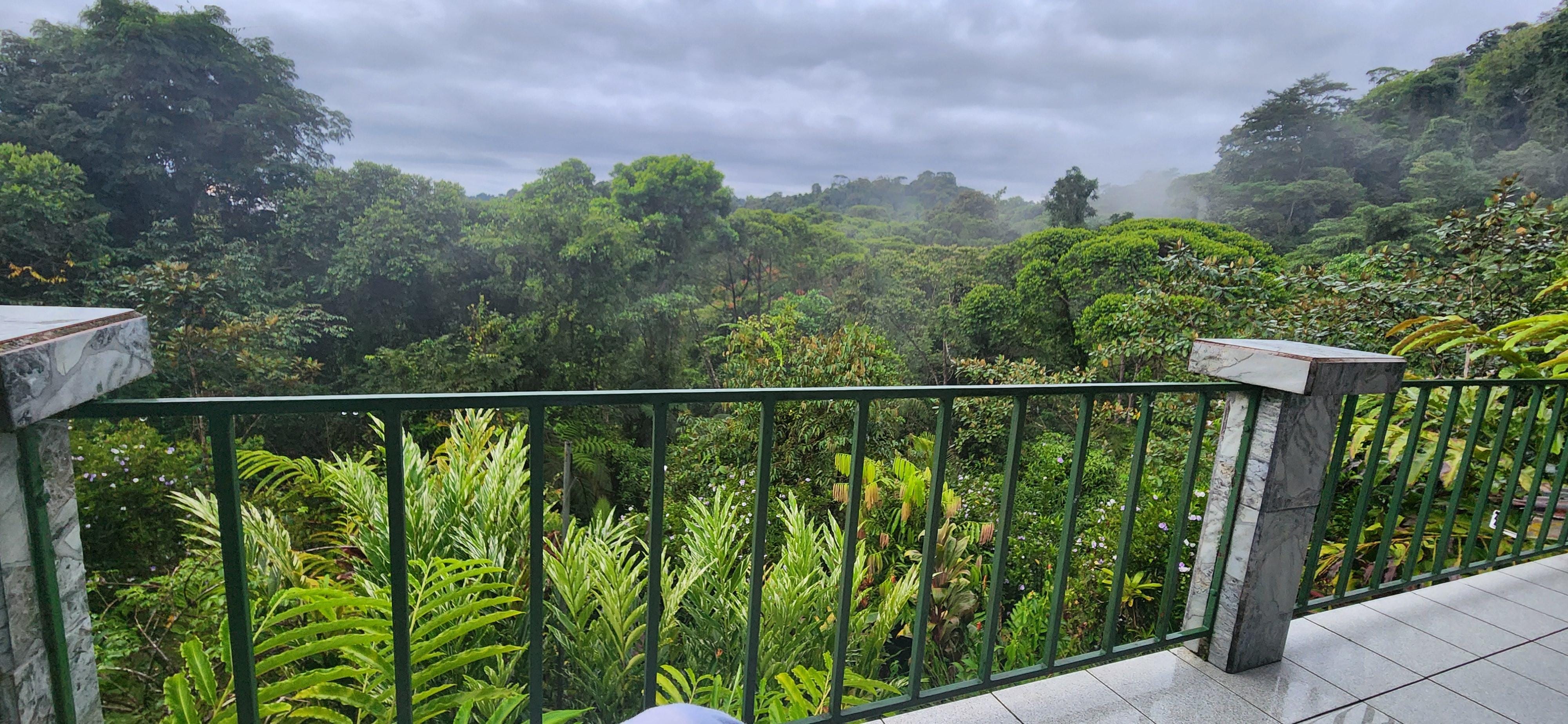 Morning views from 2nd floor veranda