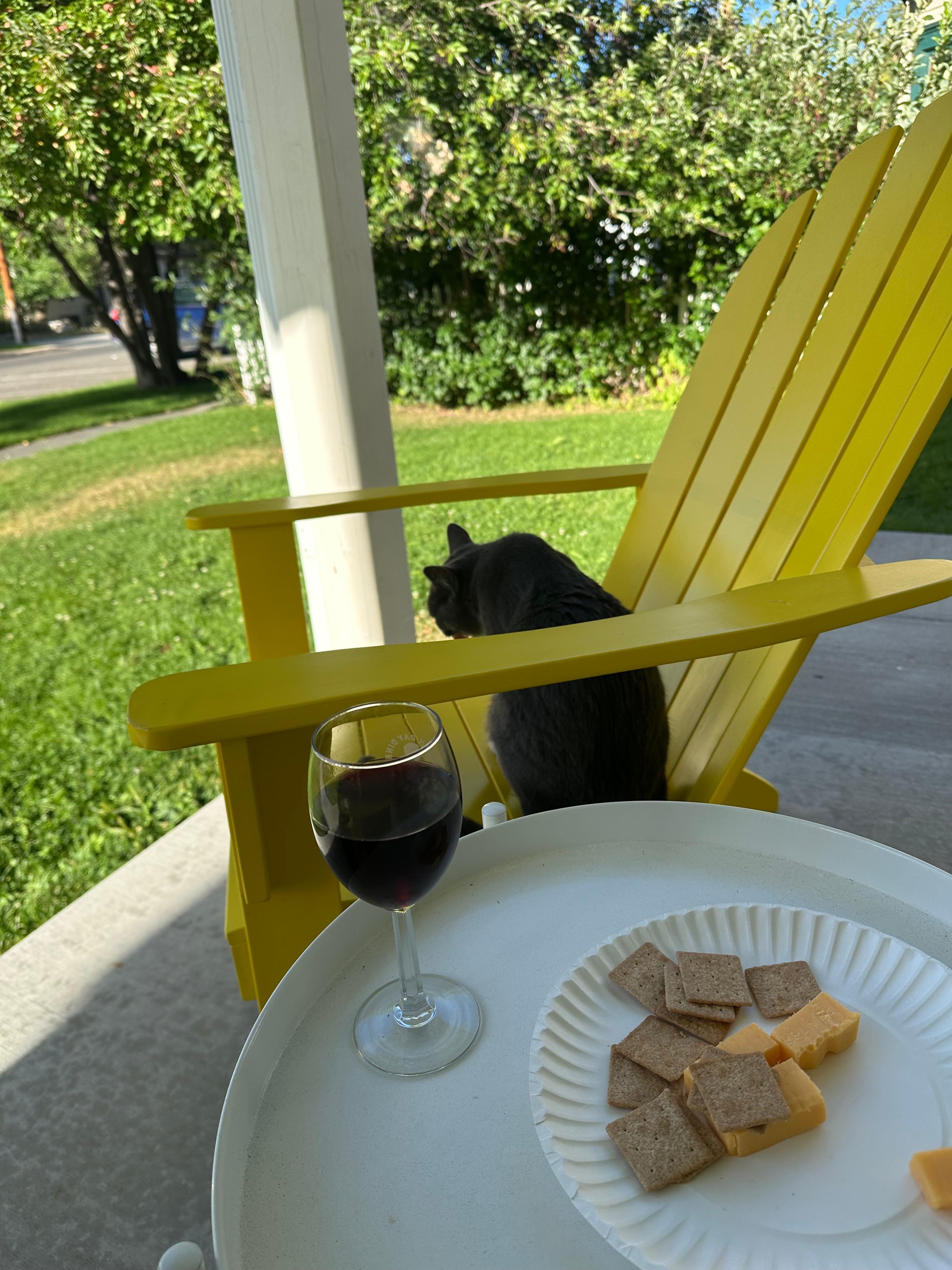 Neighborhood cat having wine and cheese with us!