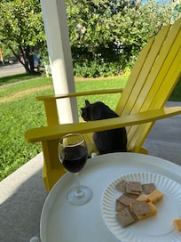 Neighborhood cat having wine and cheese with us!