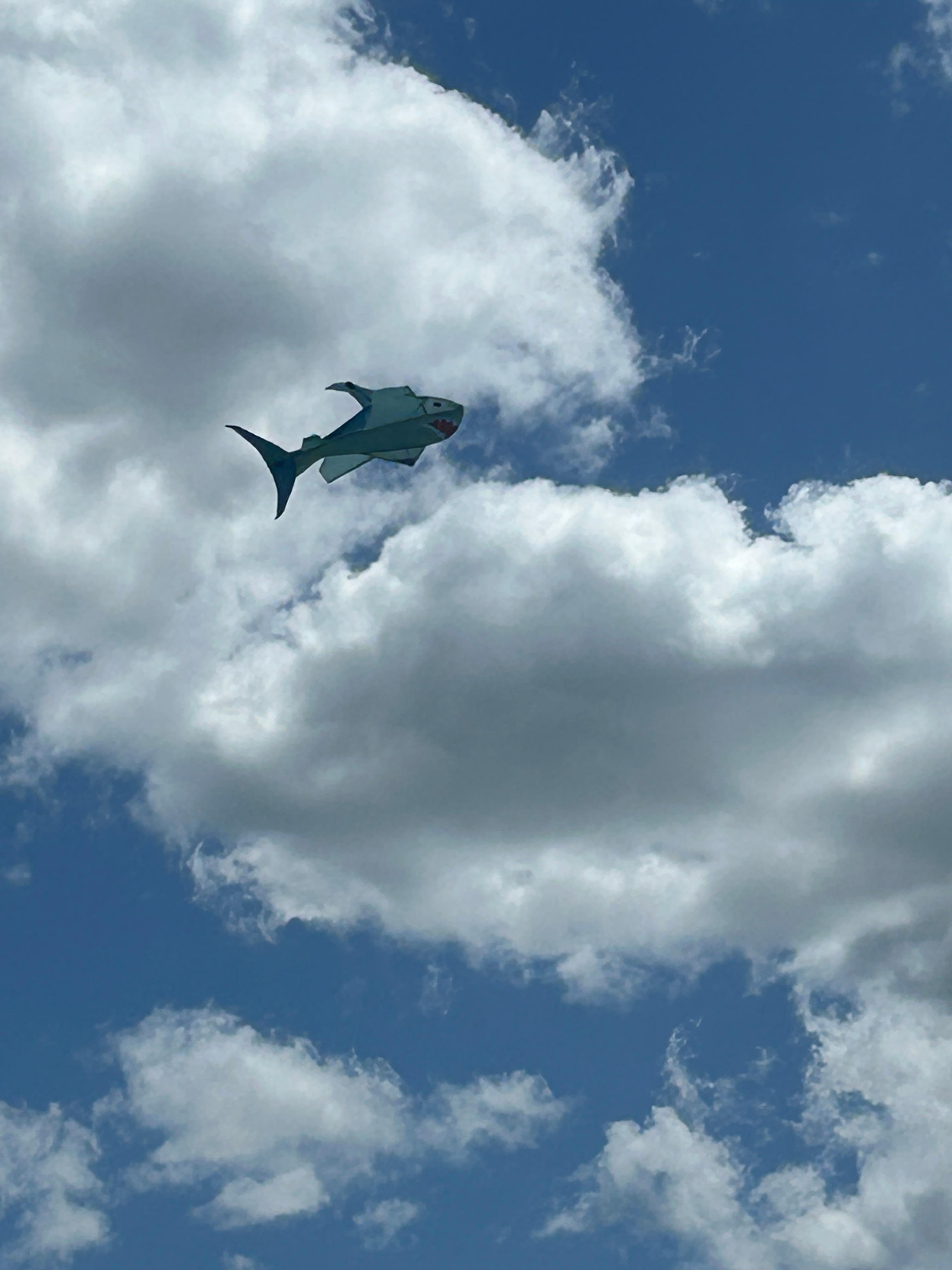 Watch out for the flying sharks!