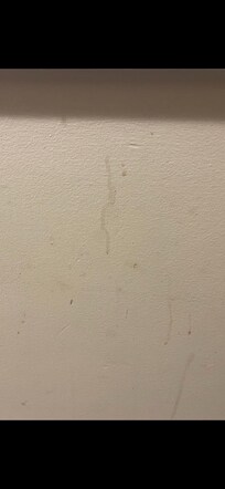Stained dirty walls lots of cobwebs