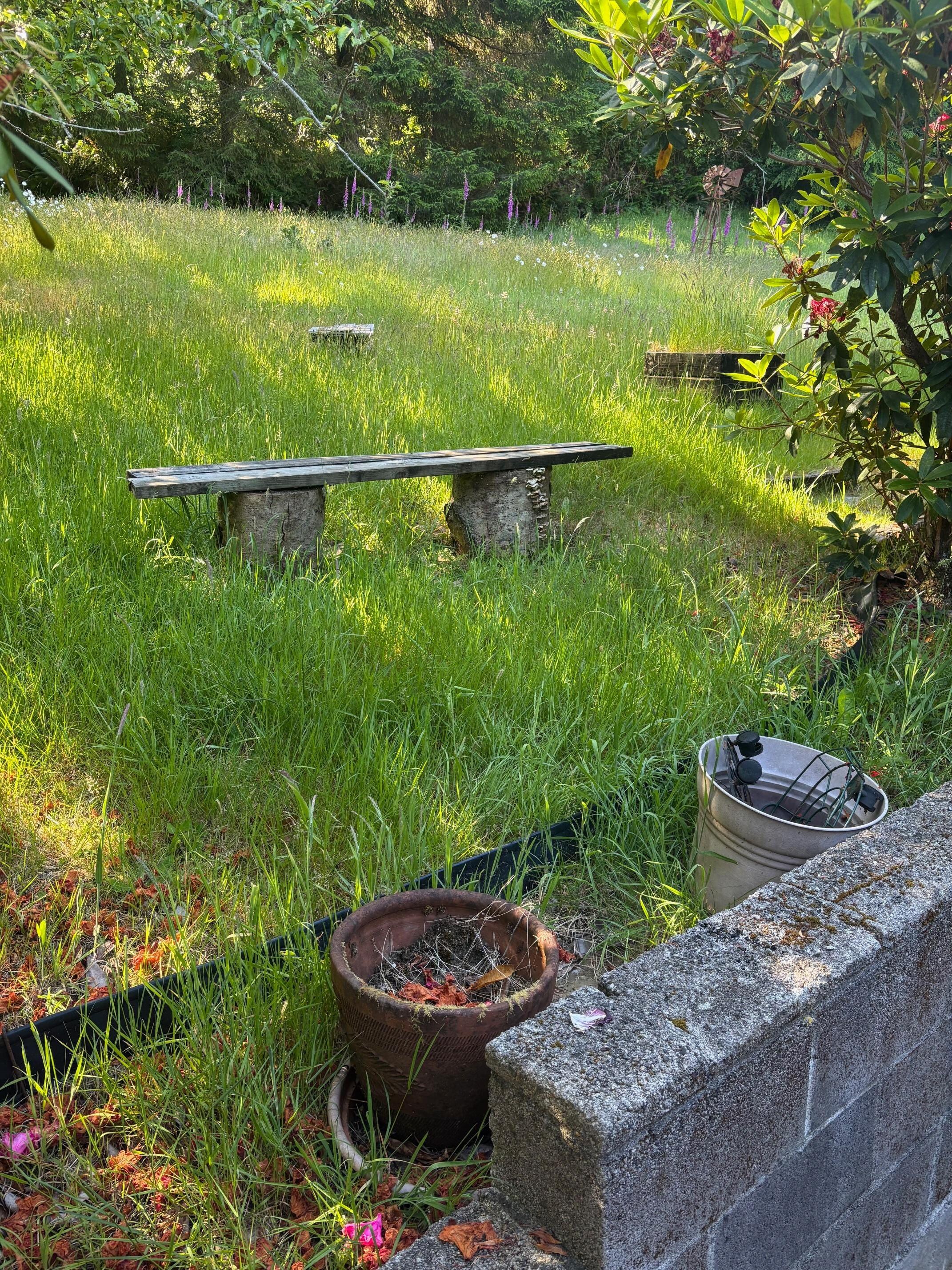 Poor exterior maintenance left us unable to use the lawn