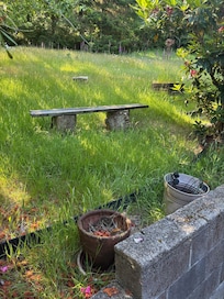 Poor exterior maintenance left us unable to use the lawn