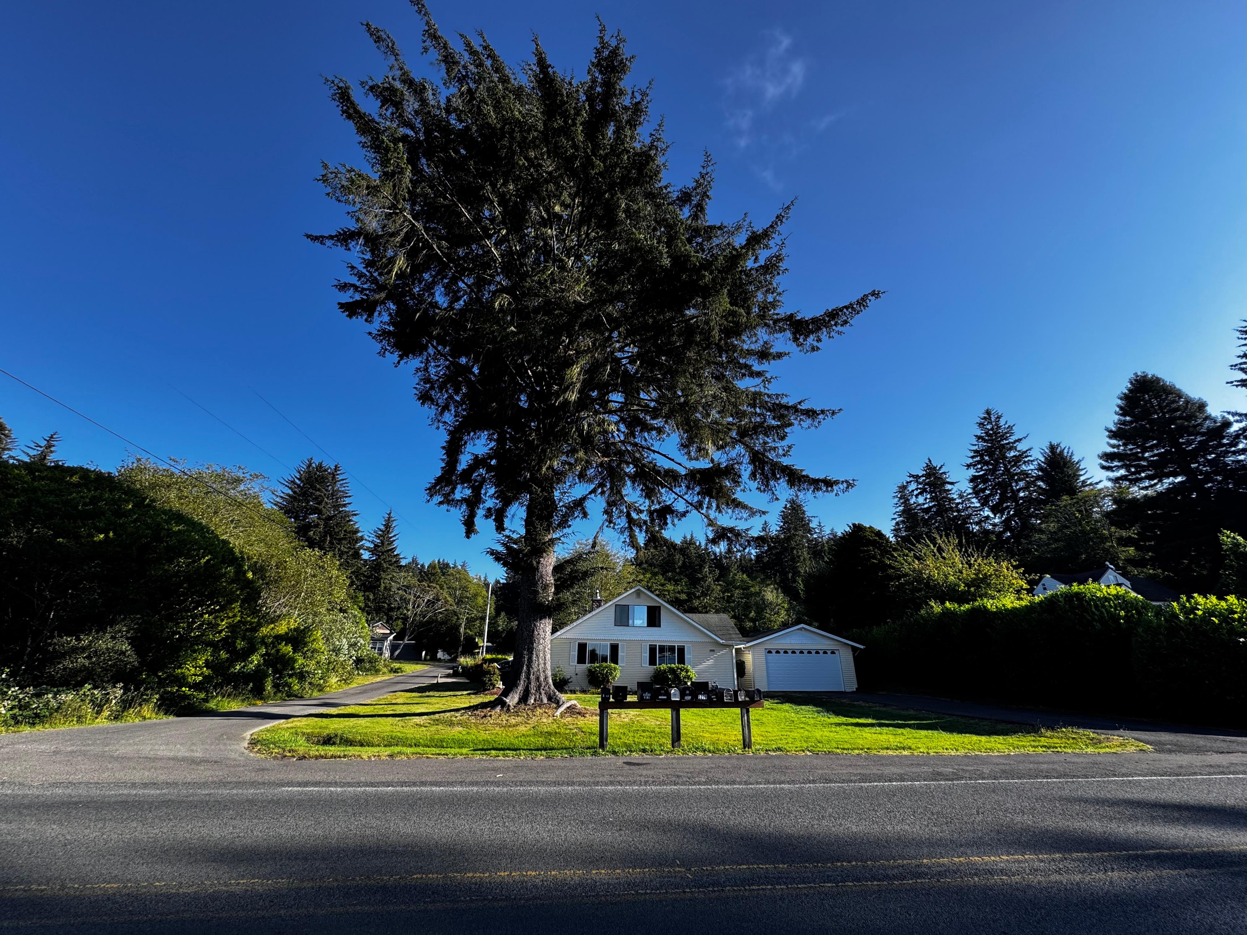 Front of house corner lot