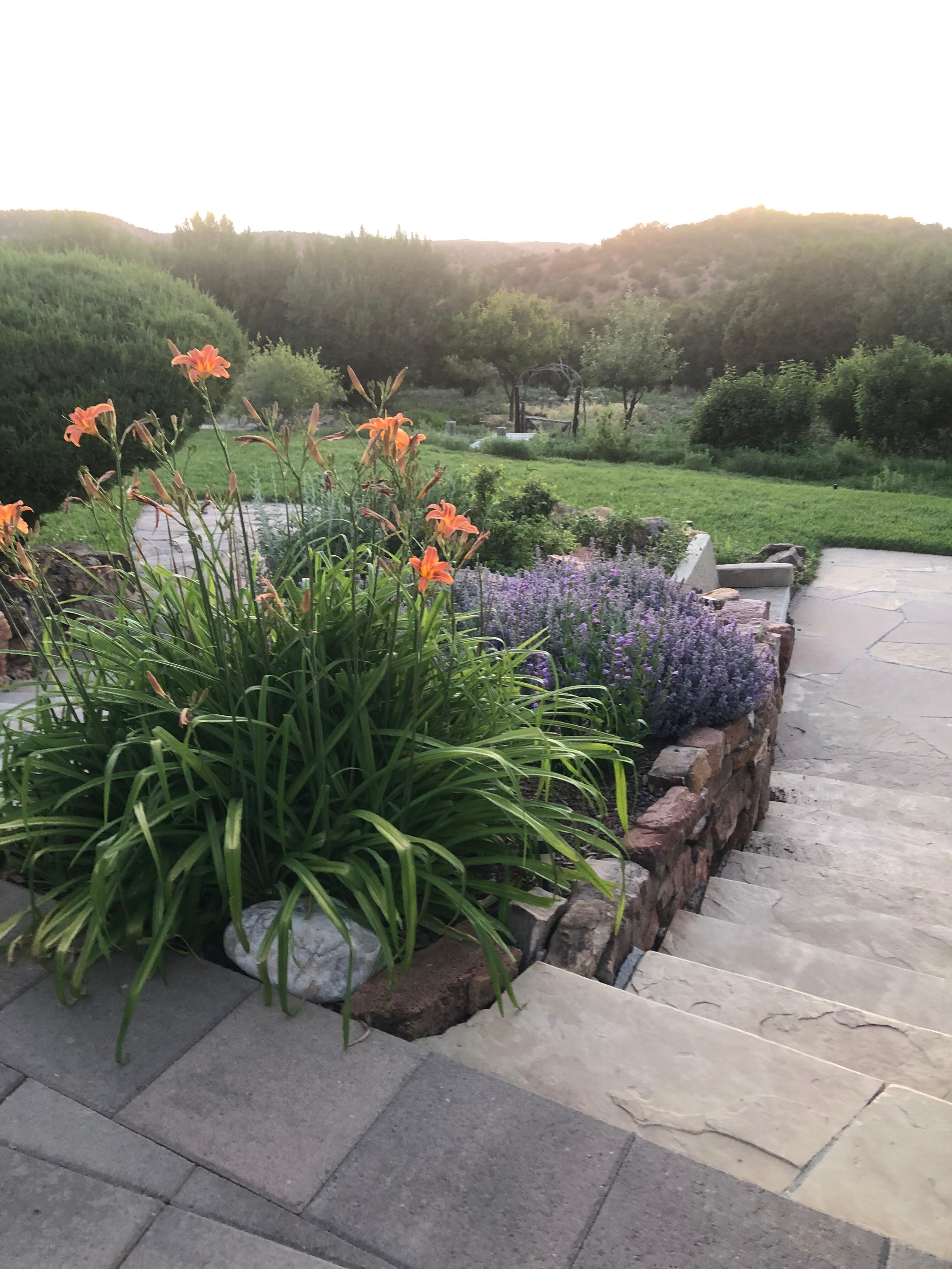 Mountain View from the back/side porch