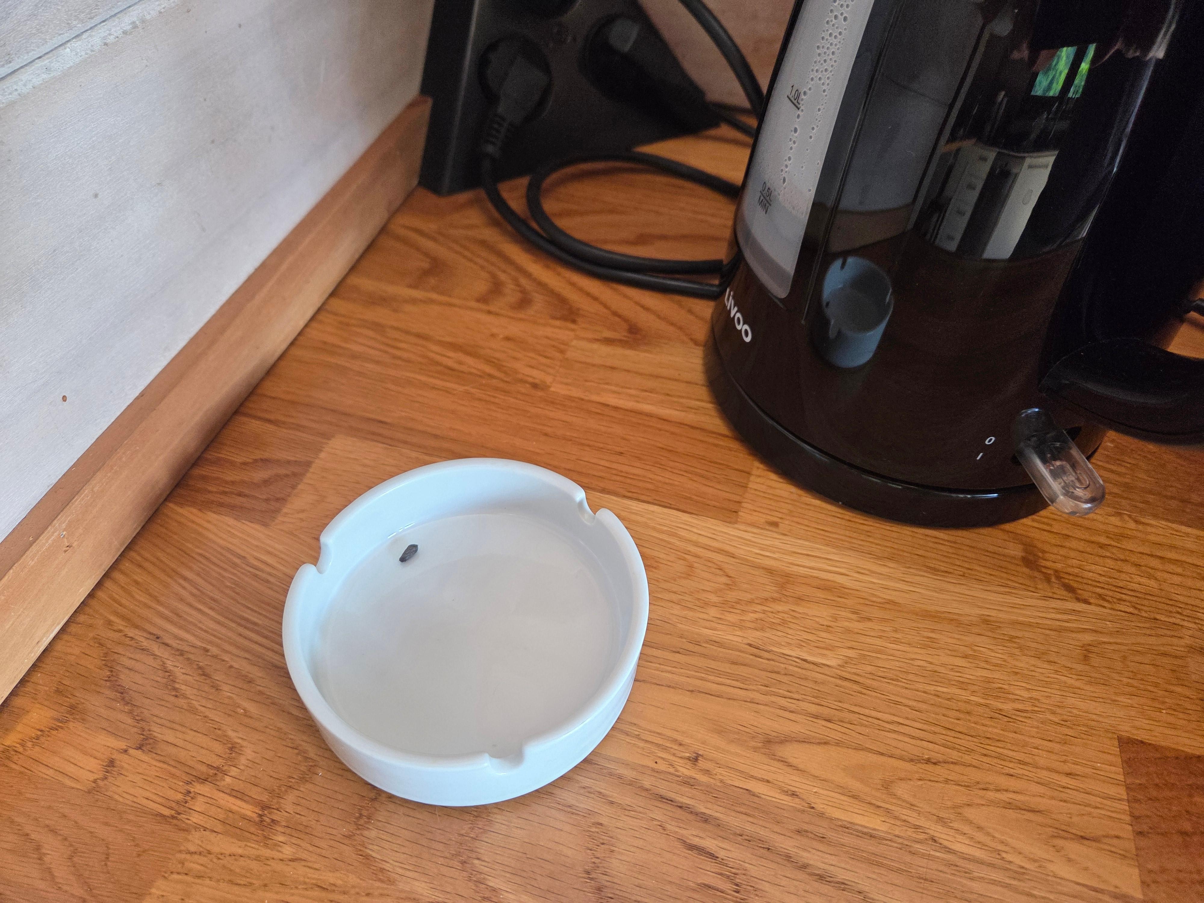Rat poop in the kitchen area (I have many others)