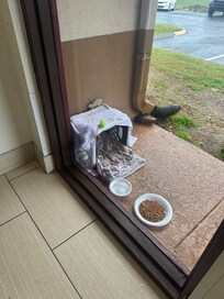 The side door they asked us to use had a guest who was staying there extended time animal area.