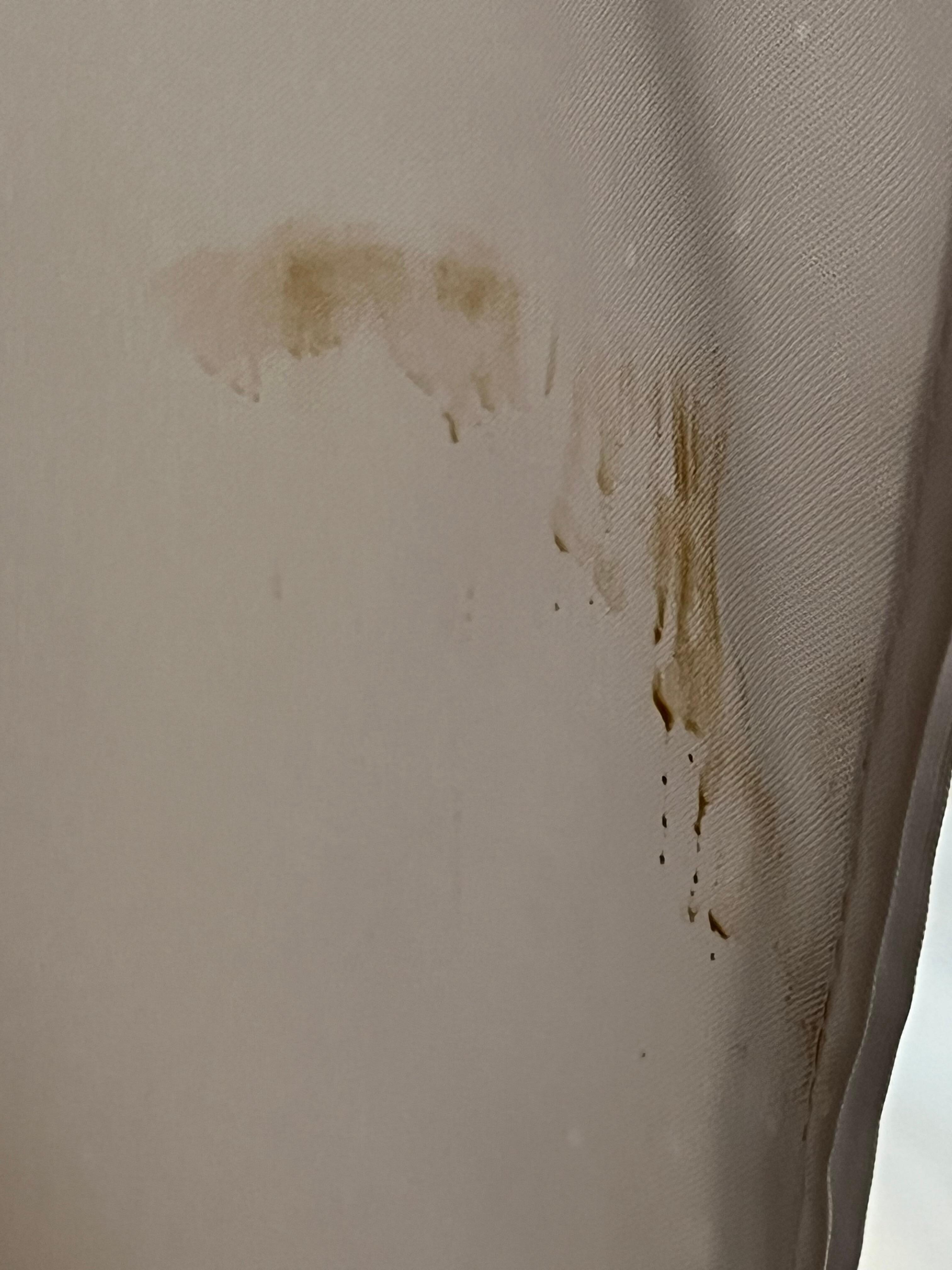Questionable stain INSIDE shower curtain.