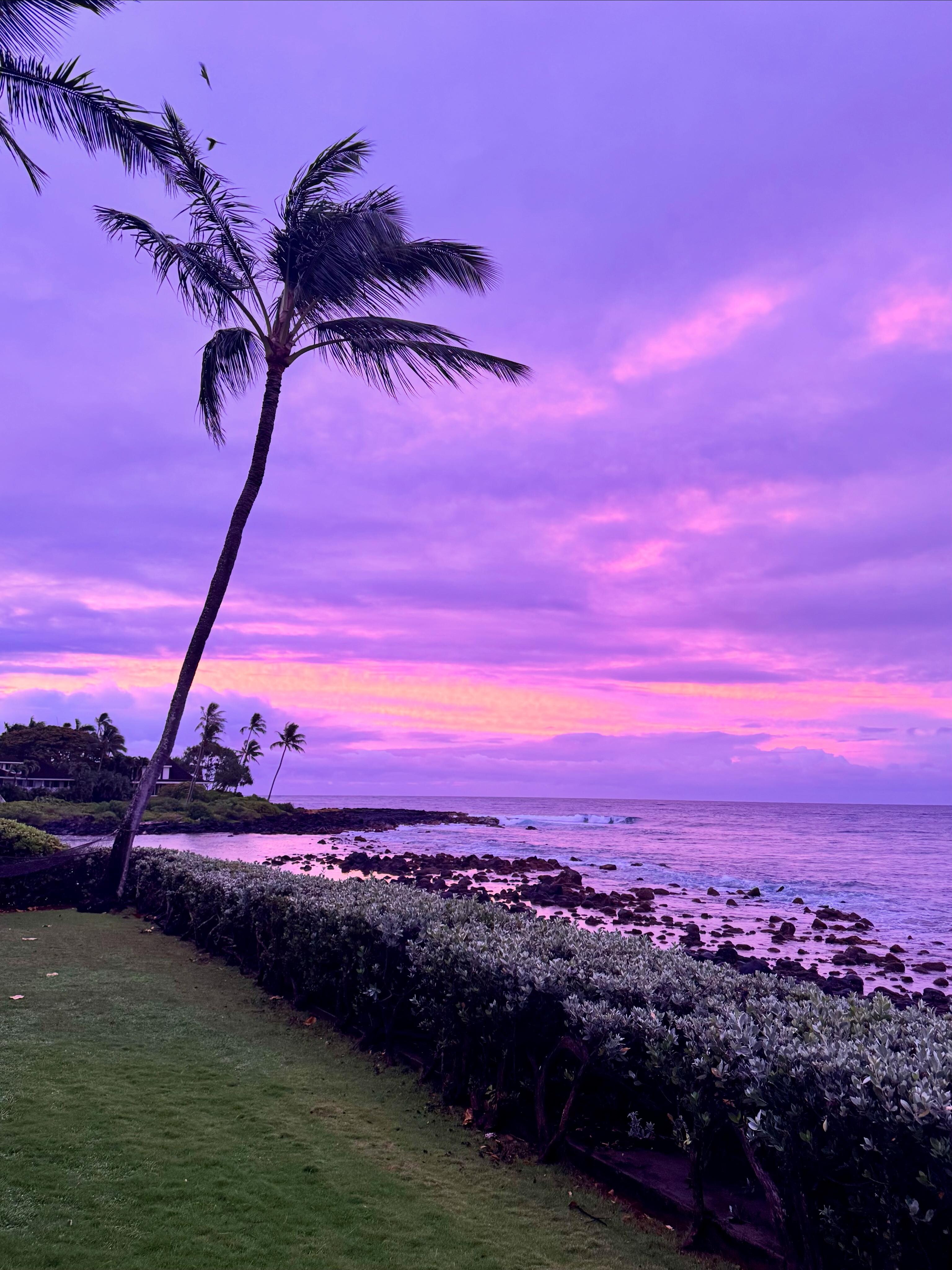 Sunrise - no filter