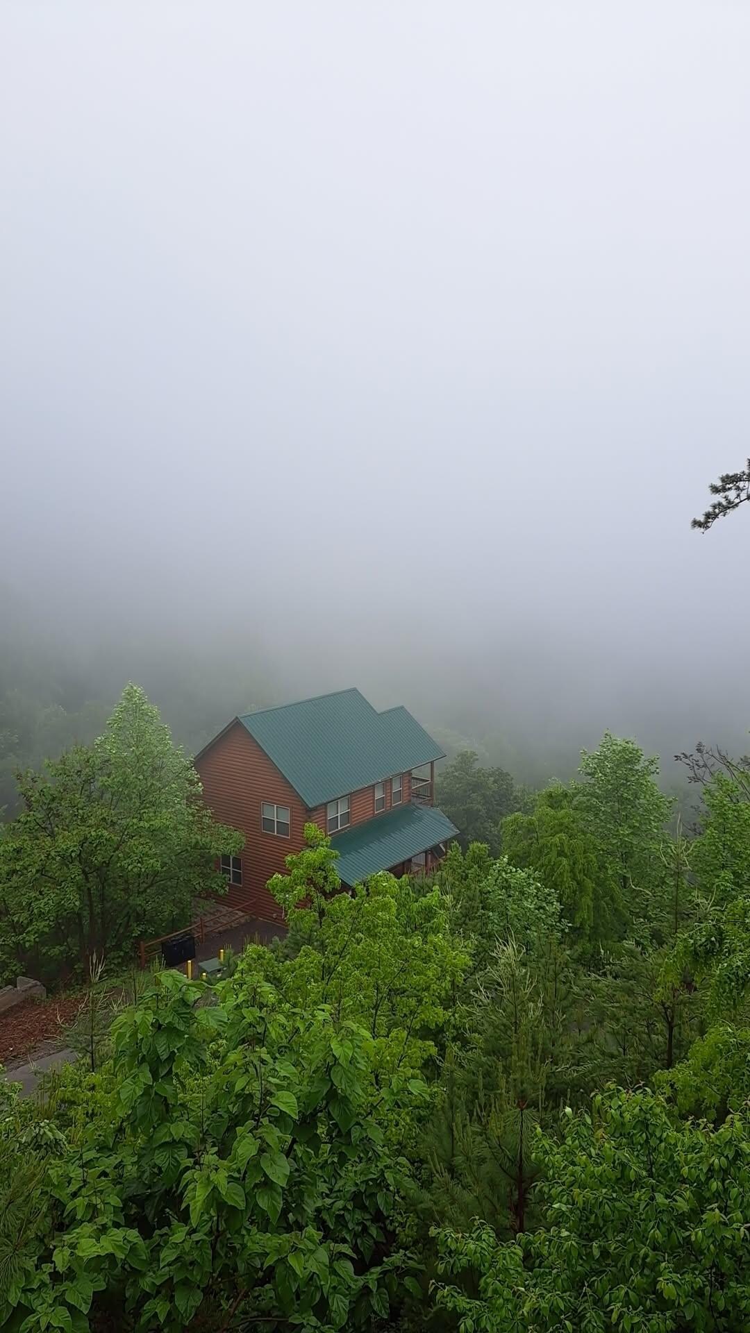 Foggy morning view