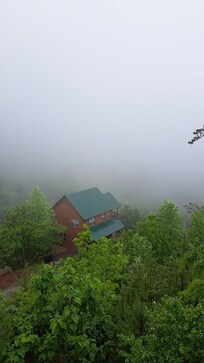 Foggy morning view