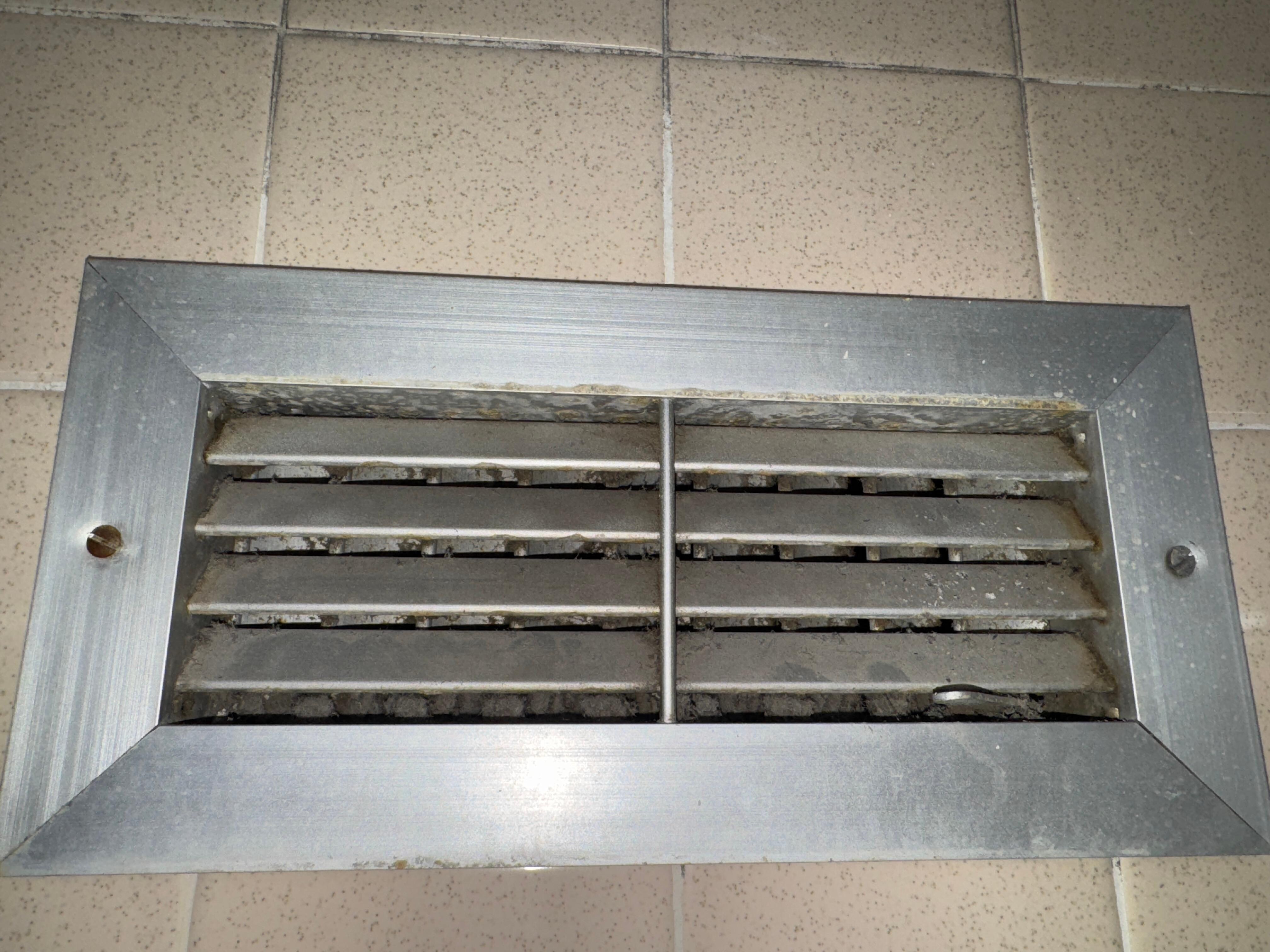 Extremely dirty vent