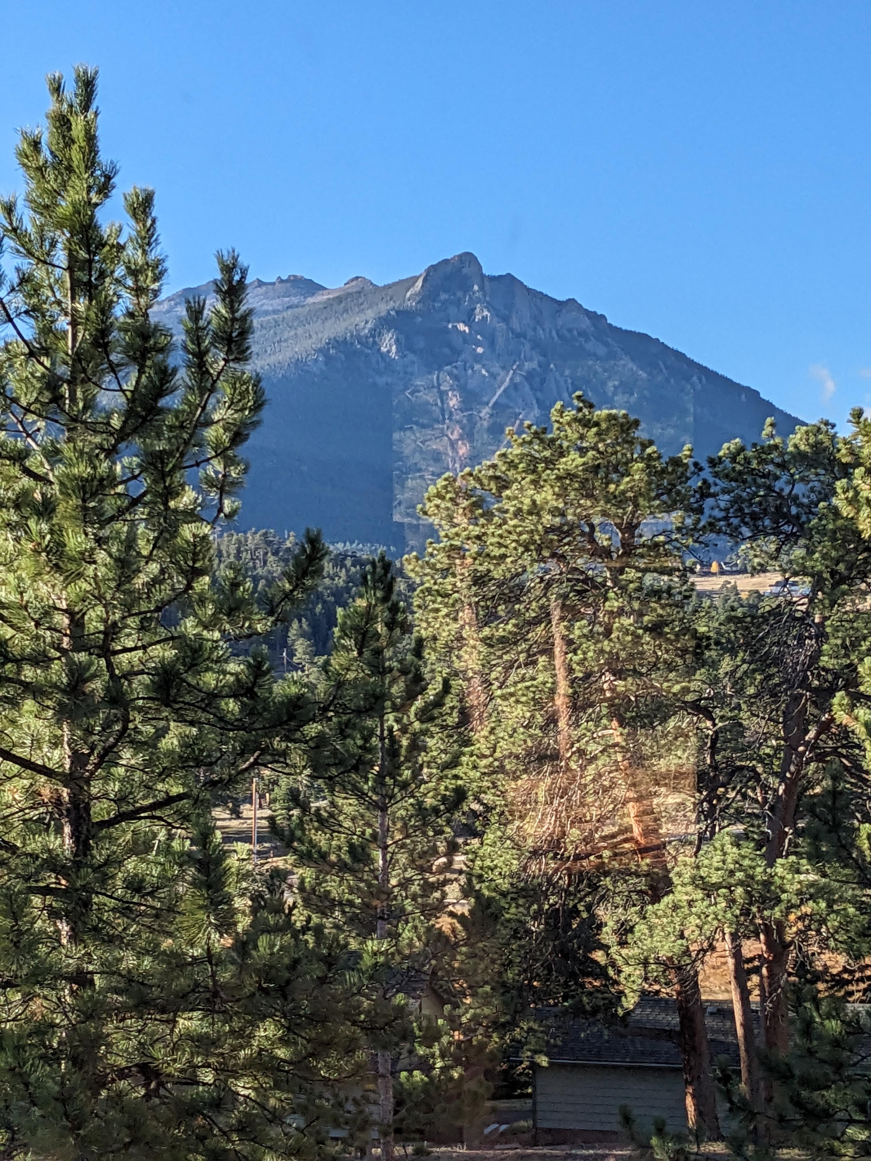 View from the living room window.