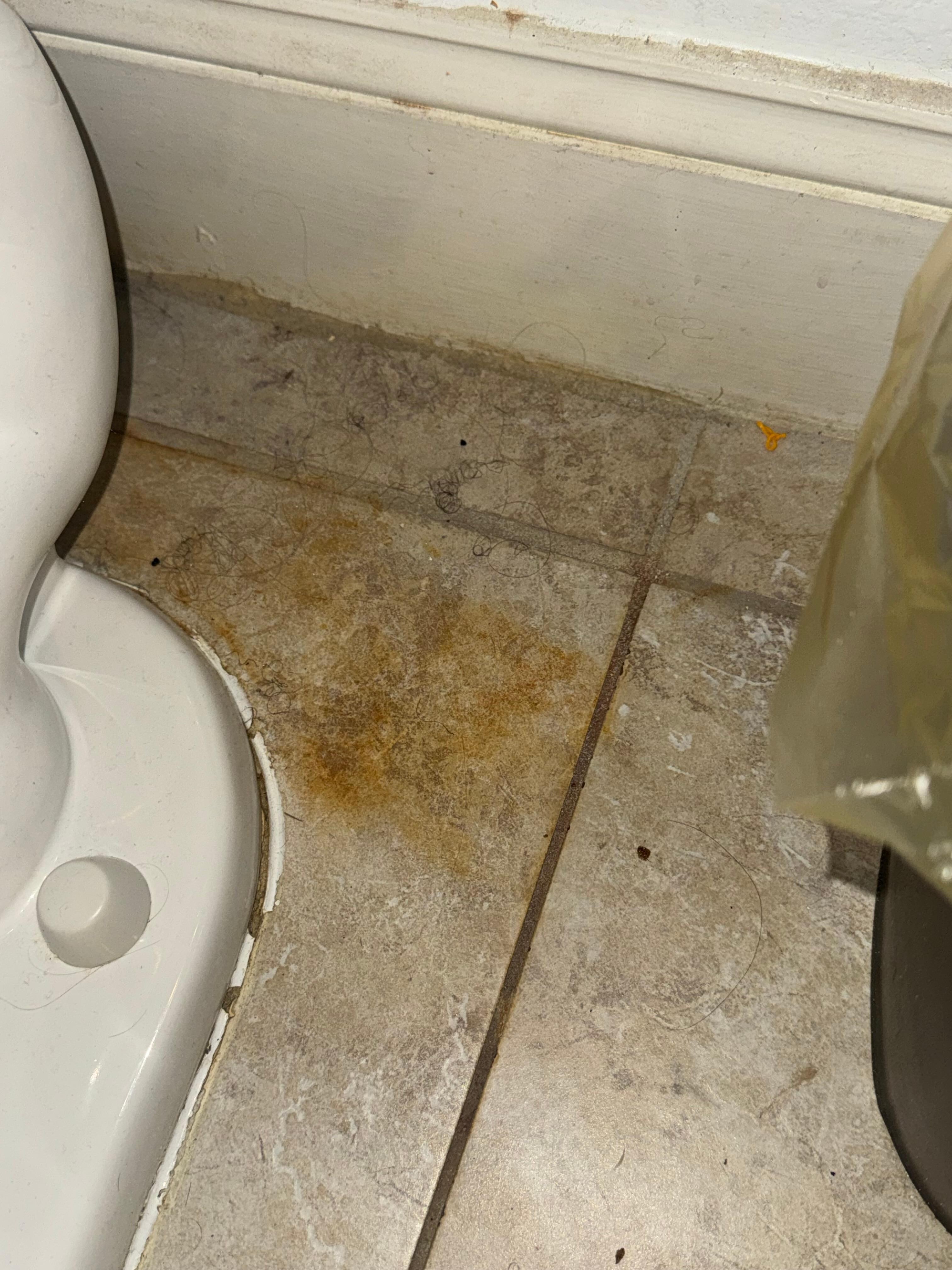 Bathroom floors - nasty dirty has hair and pee all over 