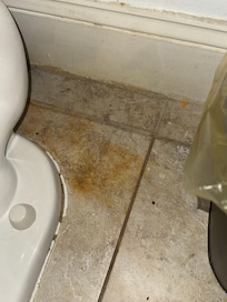 Bathroom floors - nasty dirty has hair and pee all over