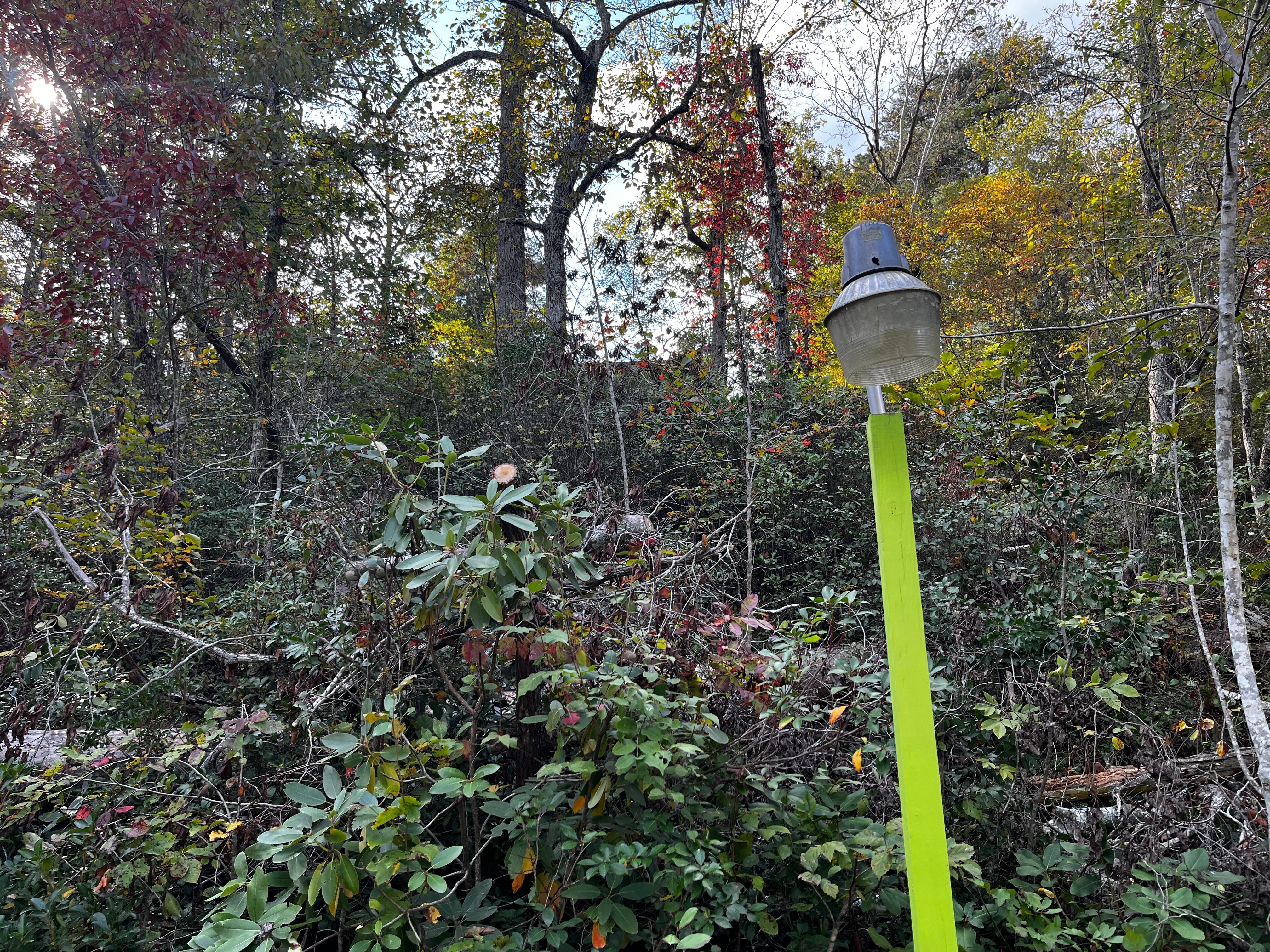 View of the cabin from the river