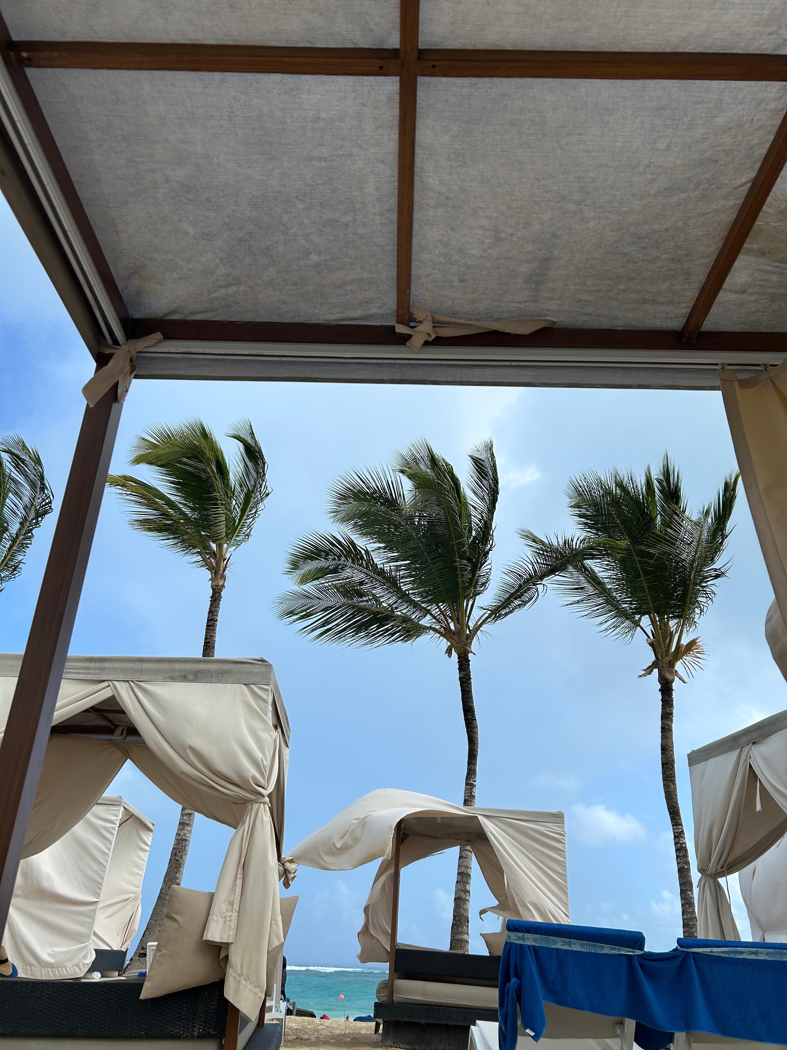 View from our Balinese bed 