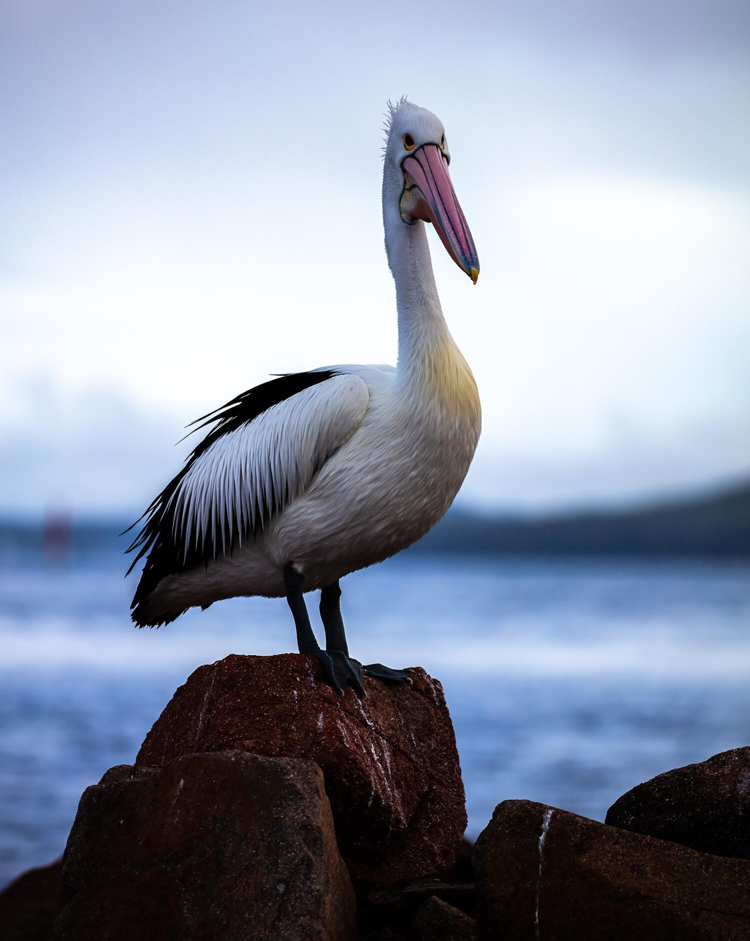 Soldiers Point Marina