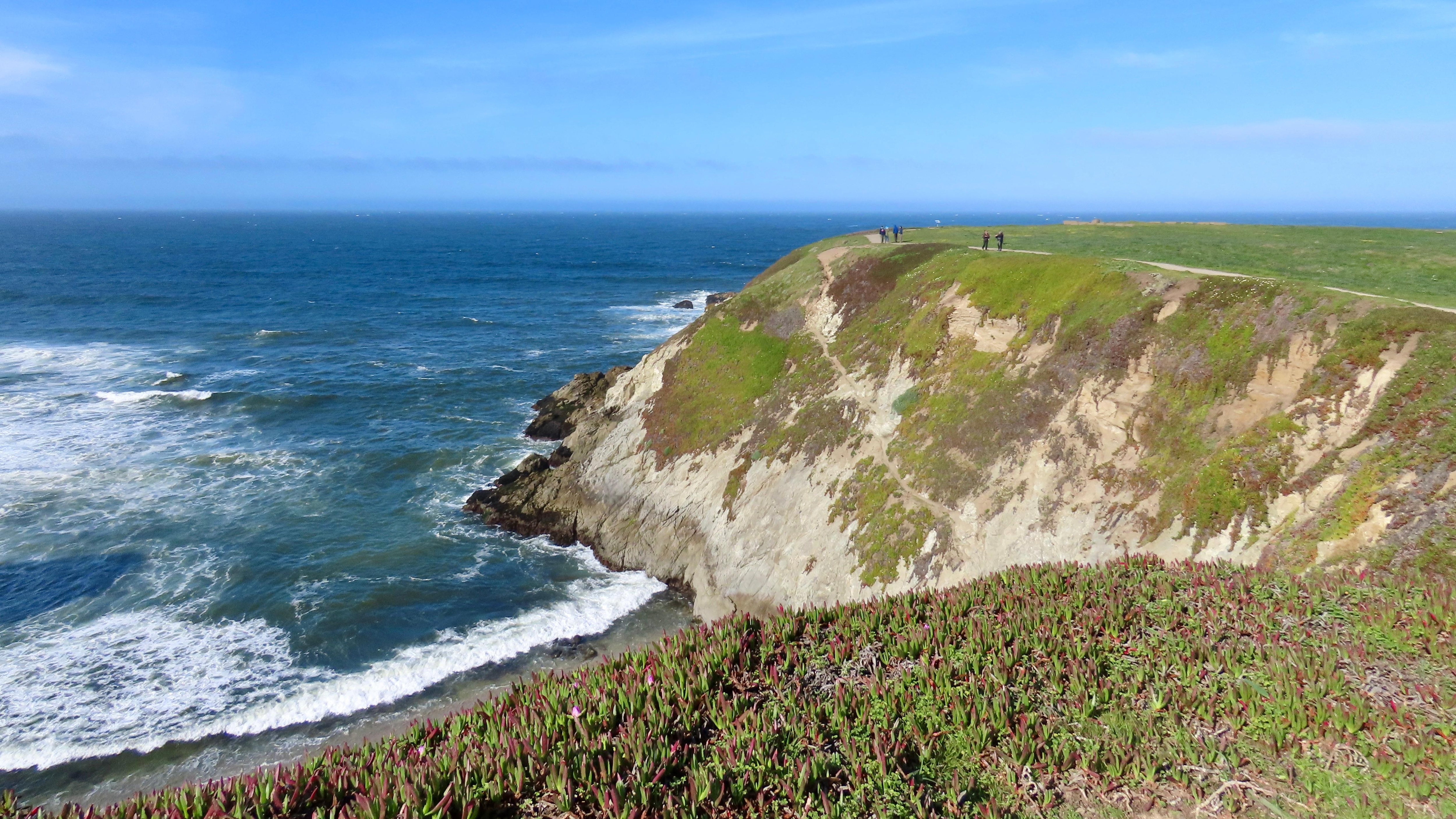 Bodega Head