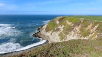 Bodega Head