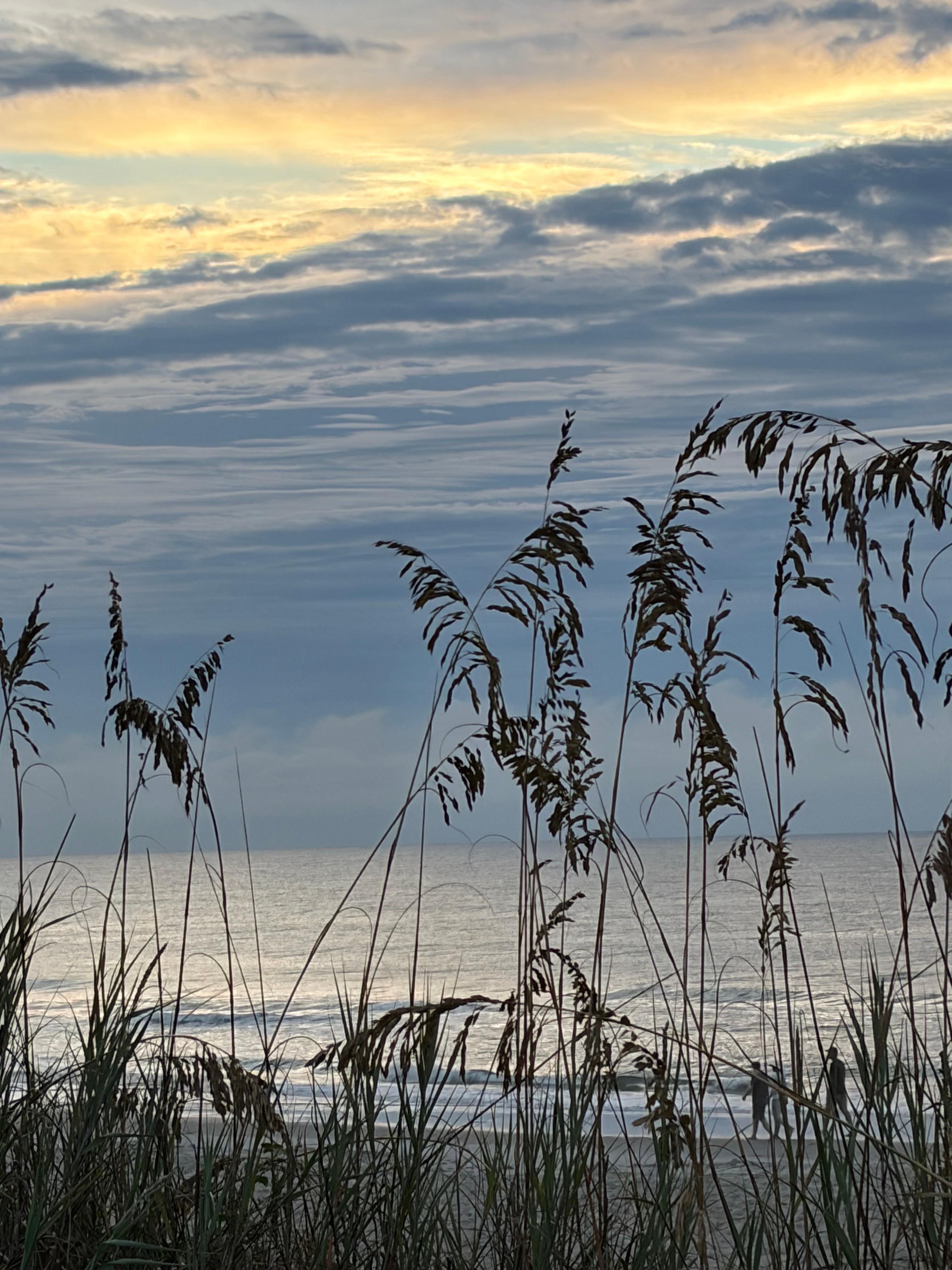 Morning at the beach. 