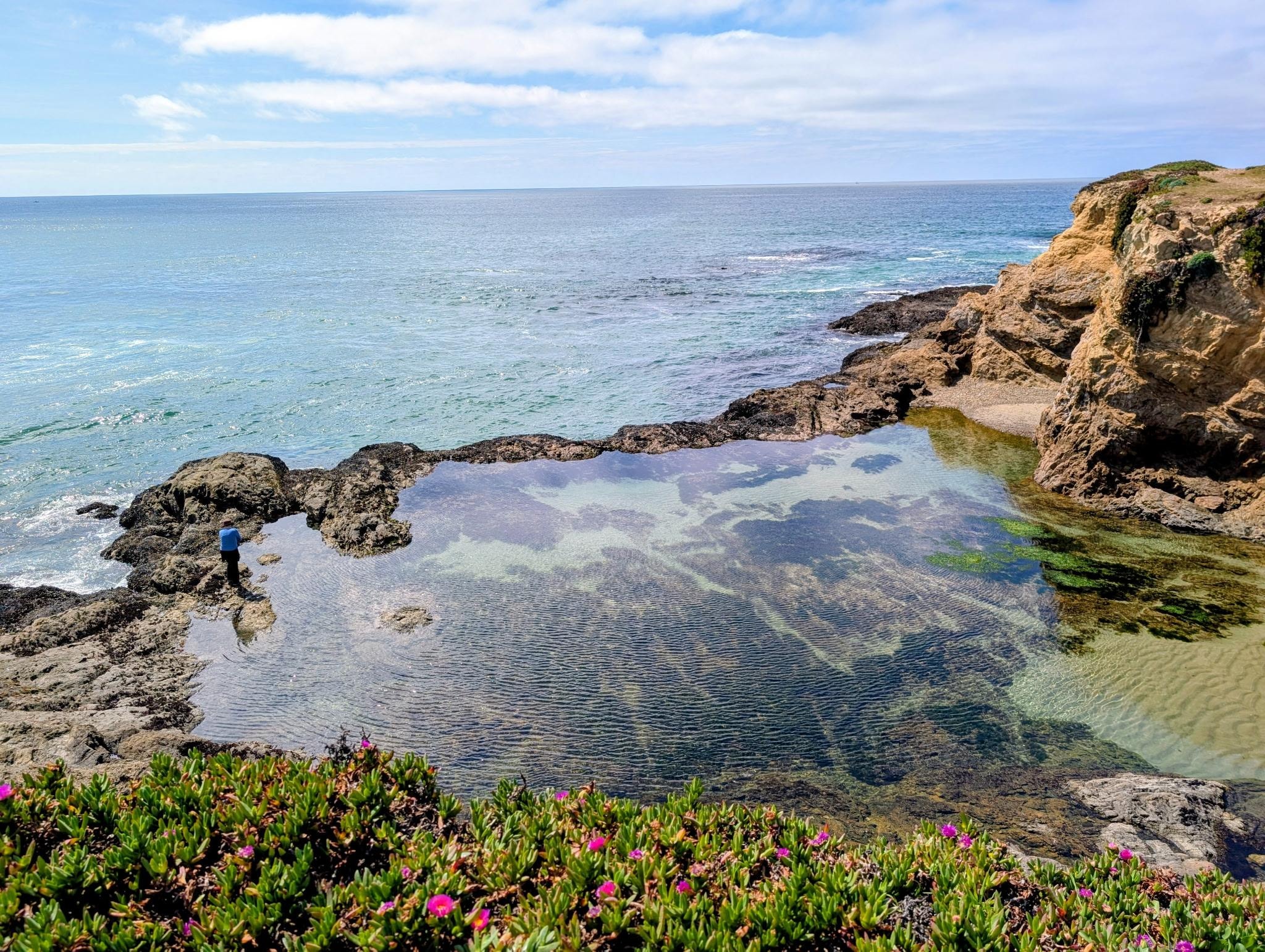 View from walking trail 