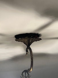 Wires showing from light..