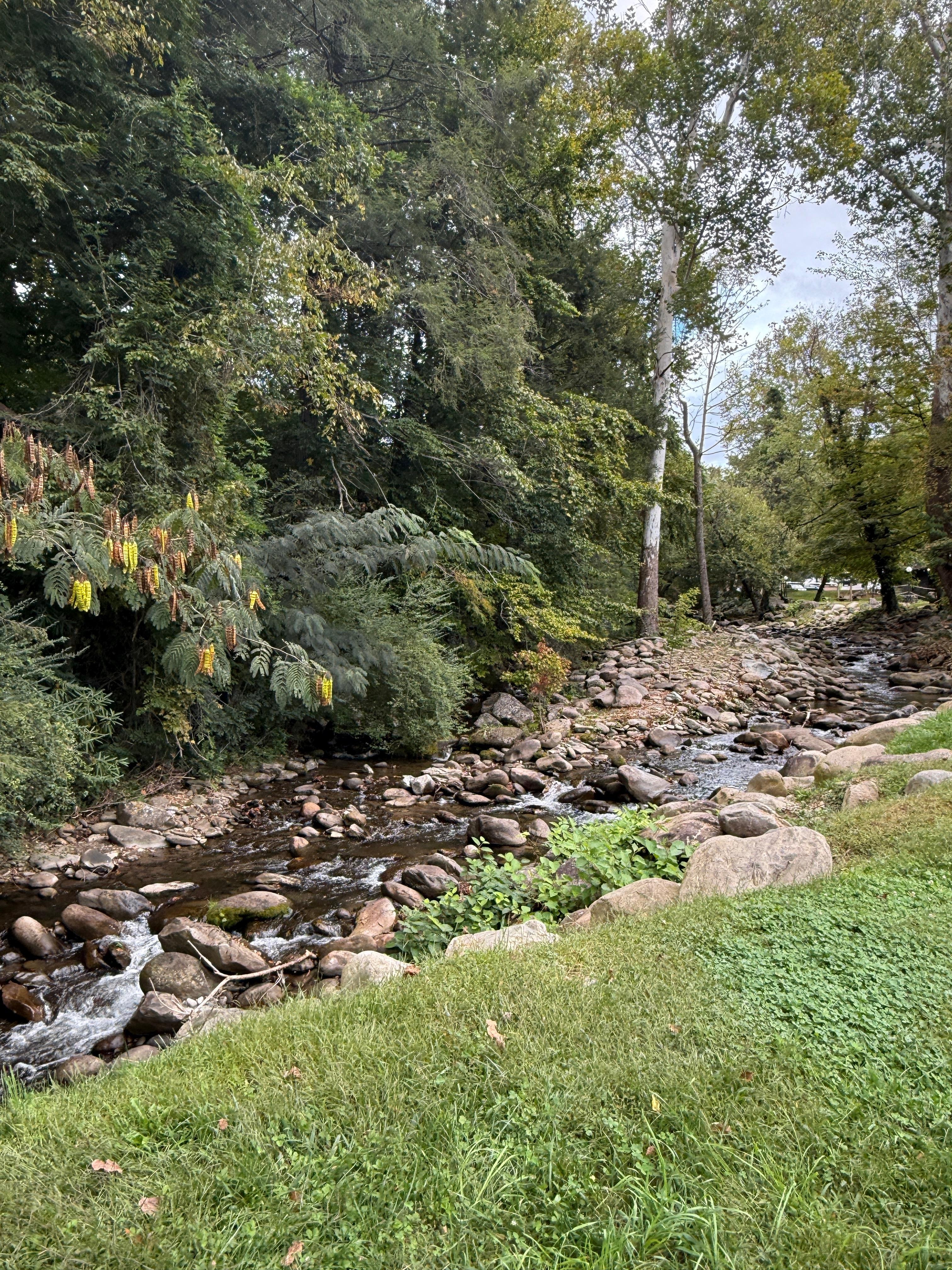 The creek behind the building