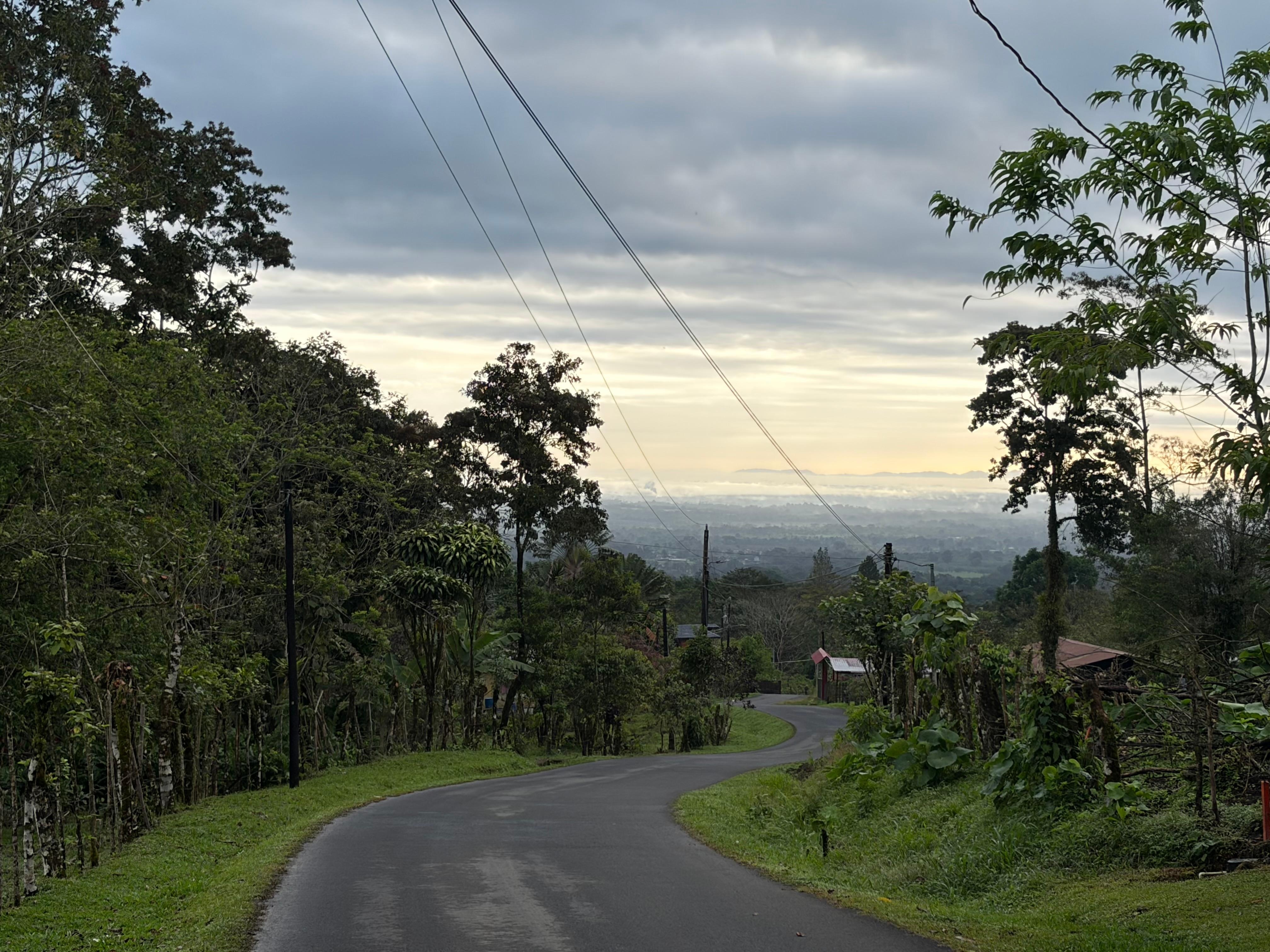 The street in front of the house