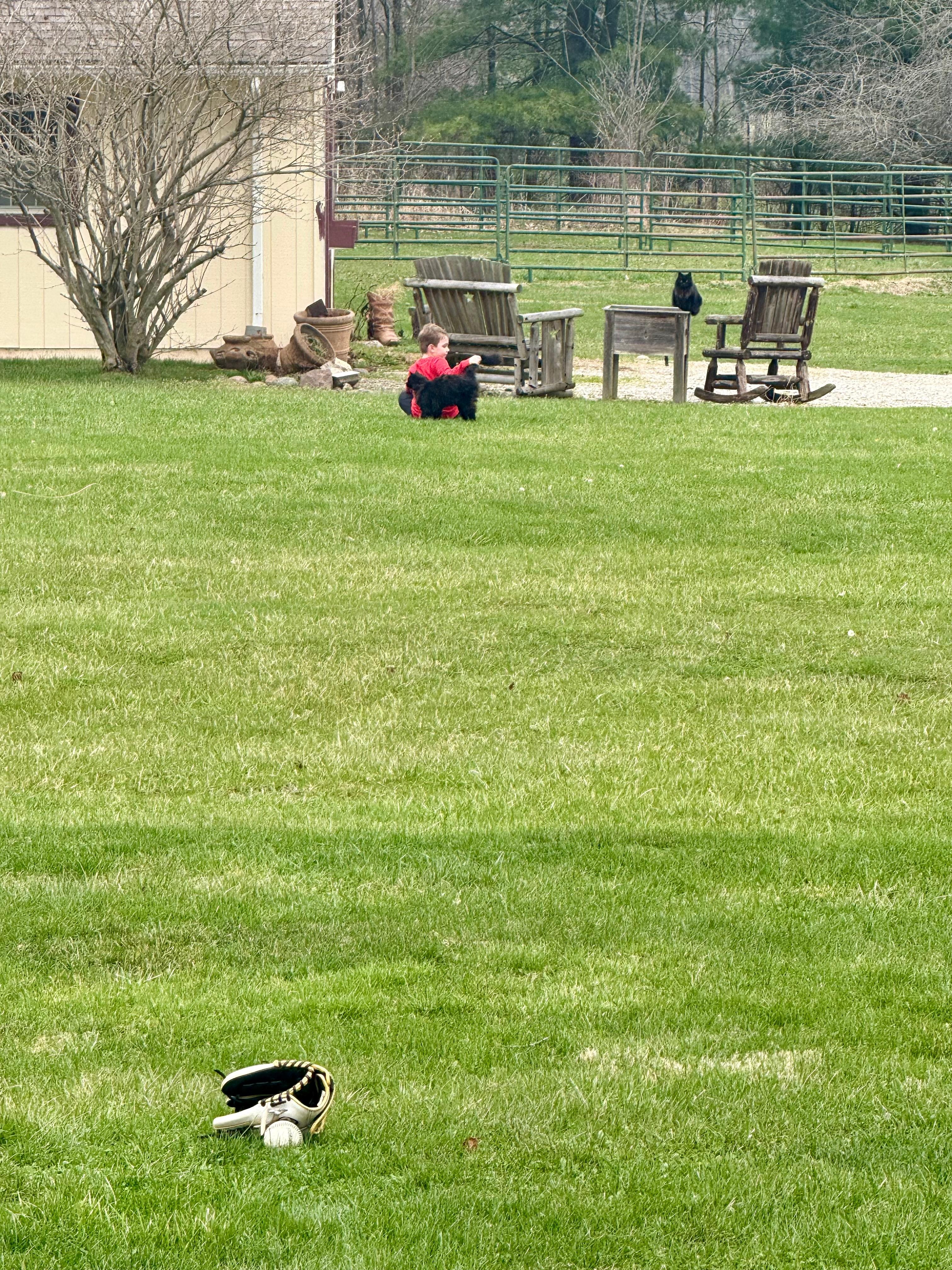 Abandoning catch to play with the cats.