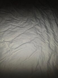 Mildew on sheets