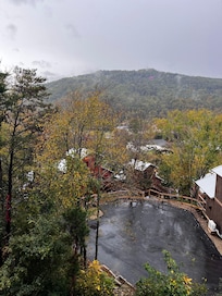 Cabins on property