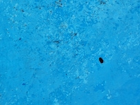 Pool, dirty