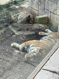 Zoo