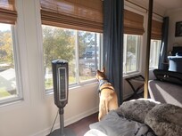 Even our big dog Beau enjoys the view from the master bedroom!