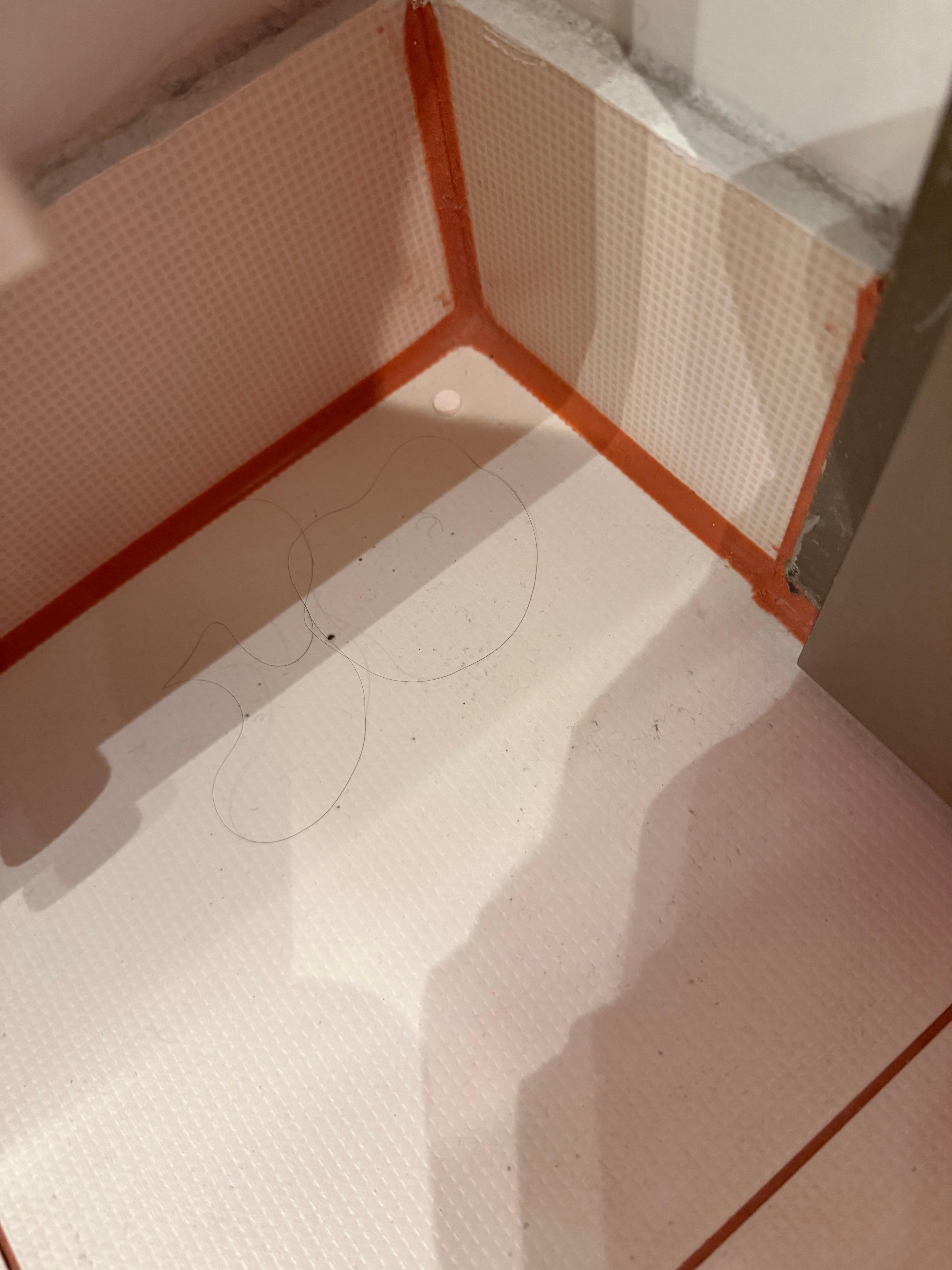 Schmutz und Haare im Bad