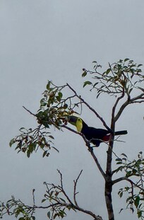 Taken from our patio