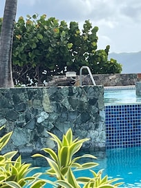 Poolside with the iguanas