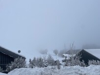 Blick auf Nachbarhäuser