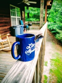 Great views with morning coffee!!