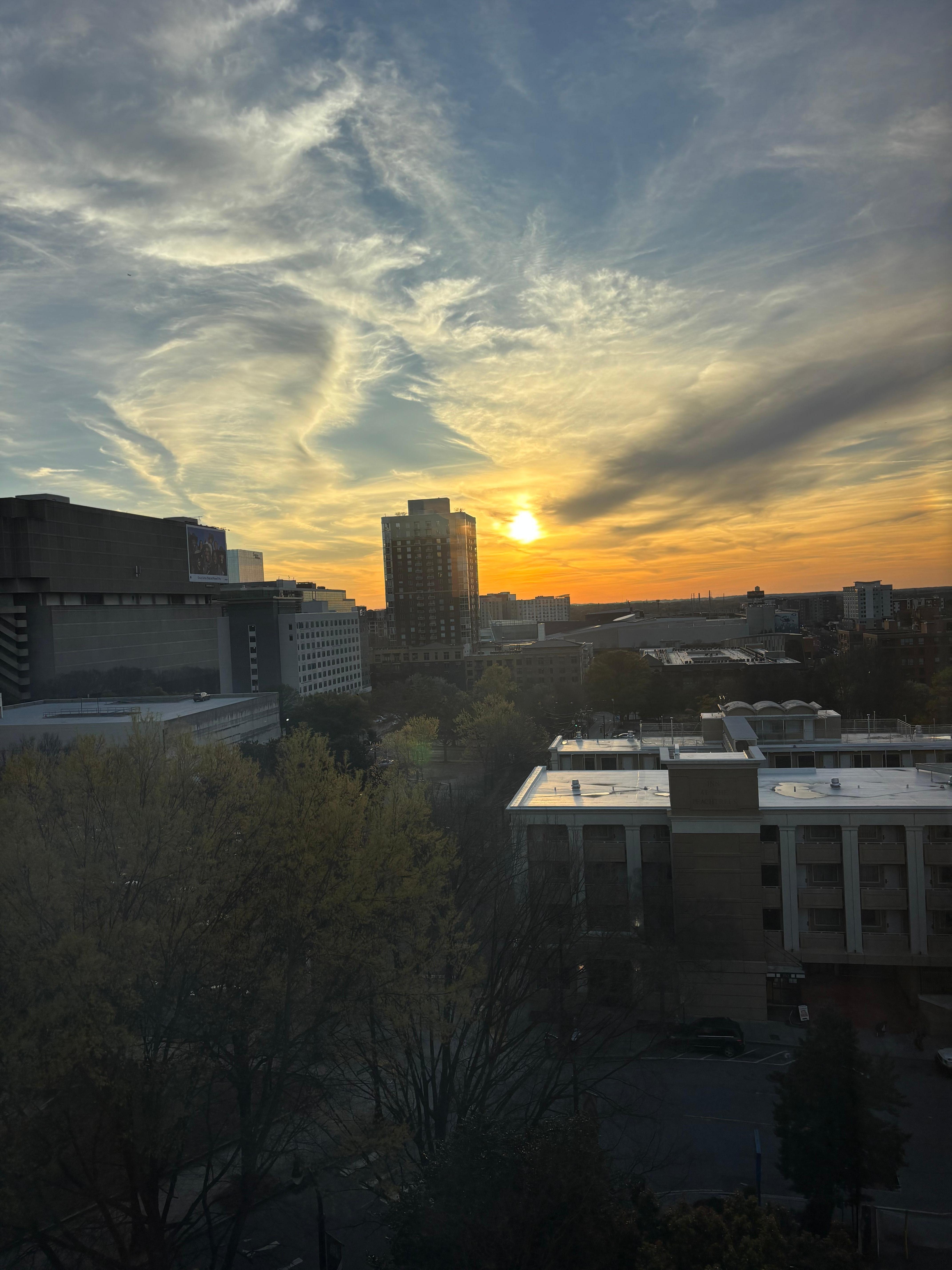 Views from the tenth floor 